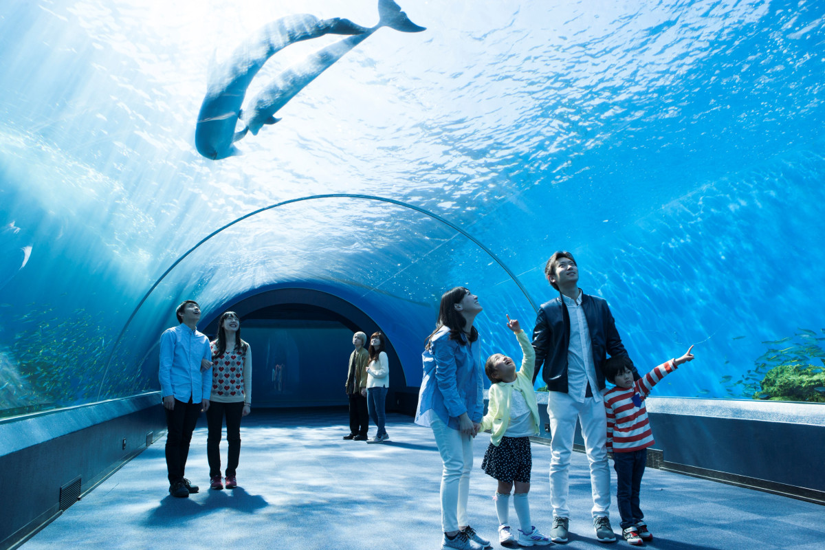 横浜 水族館